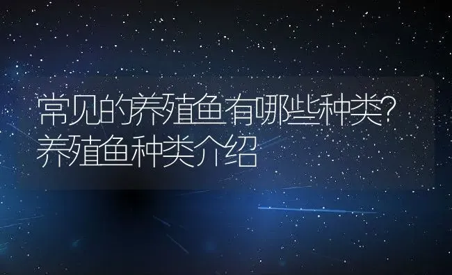 常见的养殖鱼有哪些种类？养殖鱼种类介绍 | 淡水养殖技术