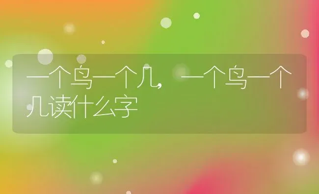 一个鸟一个几,一个鸟一个几读什么字 | 宠物百科知识