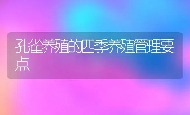 孔雀养殖的四季养殖管理要点 | 动物养殖百科