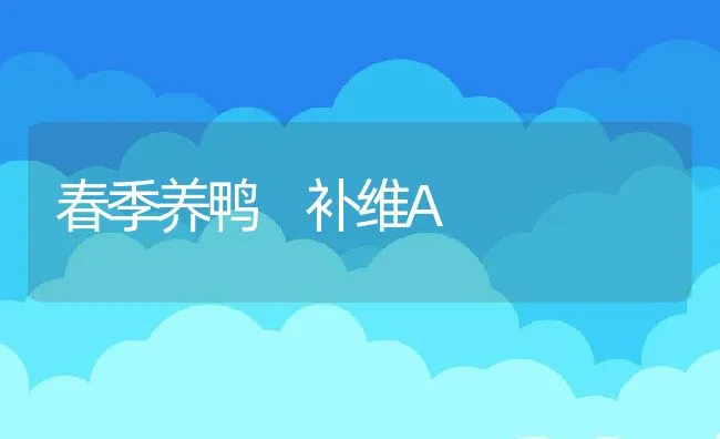 春季养鸭 补维A | 动物养殖学堂