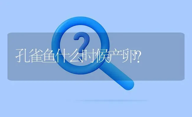 耐高温的鱼有哪些？ | 鱼类宠物饲养