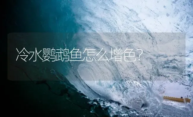 冷水鹦鹉鱼怎么增色？ | 鱼类宠物饲养