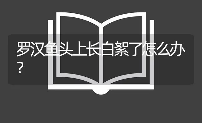 罗汉鱼头上长白絮了怎么办？ | 鱼类宠物饲养