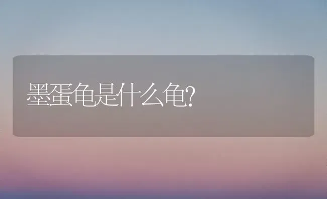 蓝金和金渐层配出什么色？ | 动物养殖问答