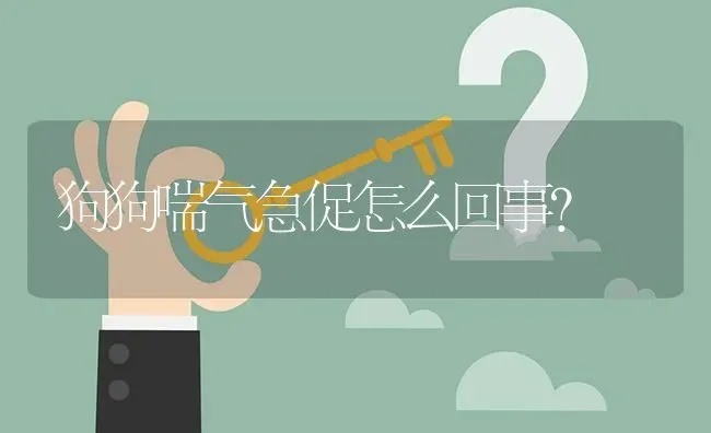 狗狗喘气急促怎么回事？ | 动物养殖问答