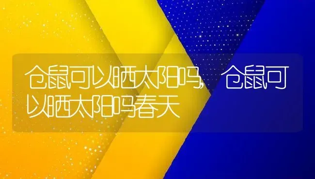 仓鼠可以晒太阳吗,仓鼠可以晒太阳吗春天 | 宠物百科知识