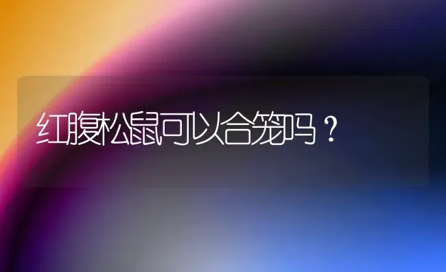 星猫该叫什么名字好？ | 动物养殖问答