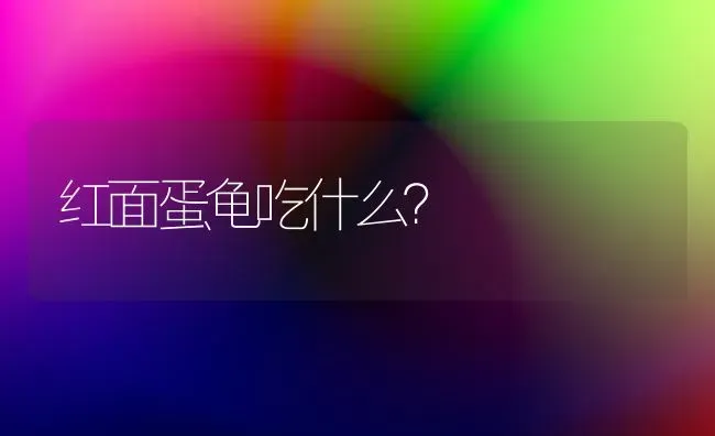 8个月的德牧还能训练出来吗？ | 动物养殖问答