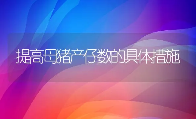 提高母猪产仔数的具体措施 | 动物养殖饲料