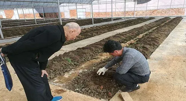 室内蚯蚓养殖技术 室内外养殖效果更佳