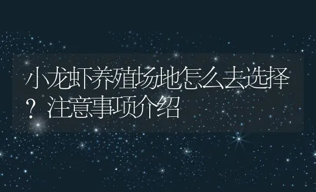 小龙虾养殖场地怎么去选择？注意事项介绍 | 动物养殖百科