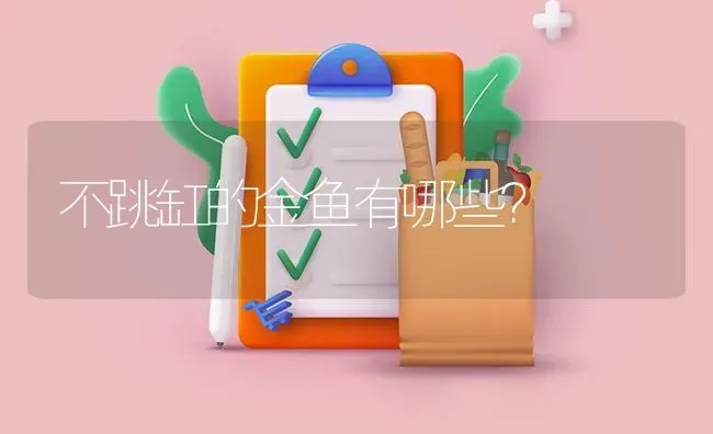 不跳缸的金鱼有哪些？ | 鱼类宠物饲养