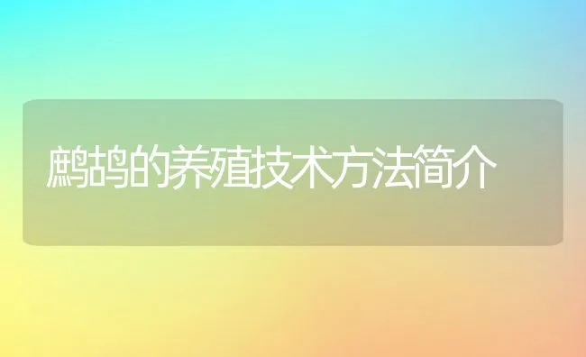 鹧鸪的养殖技术方法简介 | 水产养殖知识