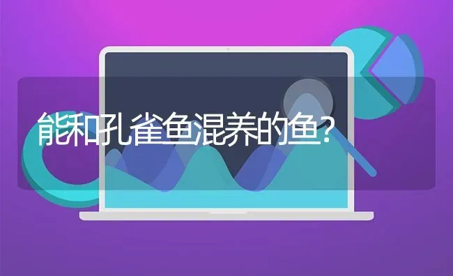 能和孔雀鱼混养的鱼？ | 鱼类宠物饲养