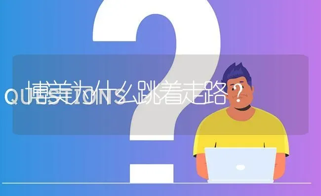 博美为什么跳着走路？ | 动物养殖问答