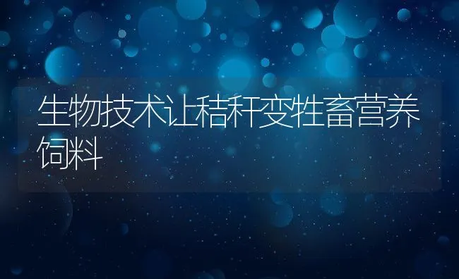 生物技术让秸秆变牲畜营养饲料 | 动物养殖饲料