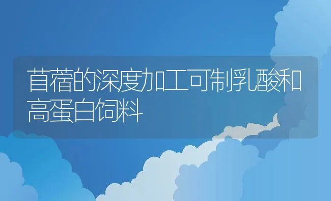 苜蓿的深度加工可制乳酸和高蛋白饲料 | 动物养殖饲料