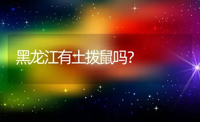 黑龙江有土拨鼠吗？ | 动物养殖问答