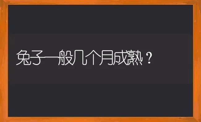 狗狗感冒一直不好怎么办？ | 动物养殖问答