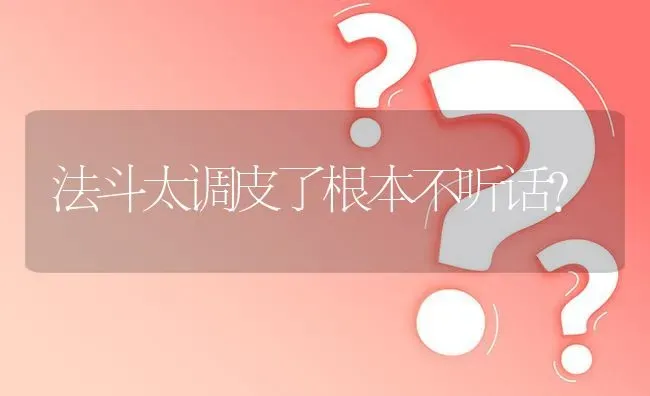 法斗太调皮了根本不听话？ | 动物养殖问答