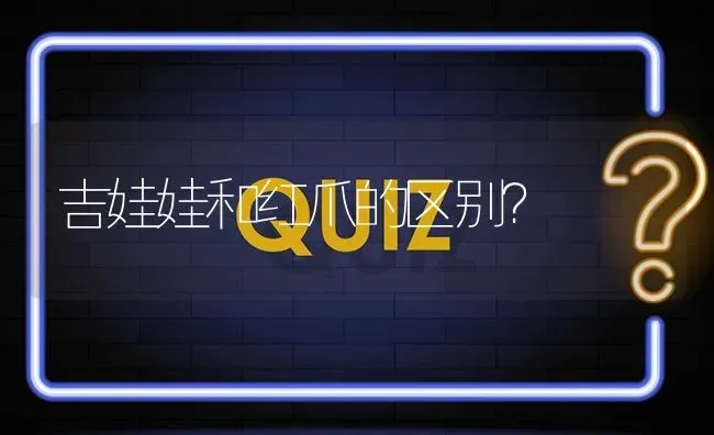 吉娃娃和红爪的区别？ | 动物养殖问答