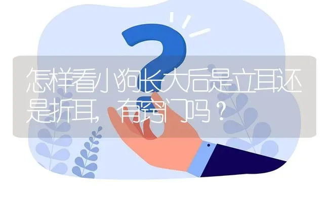 怎样看小狗长大后是立耳还是折耳,有窍门吗？ | 动物养殖问答