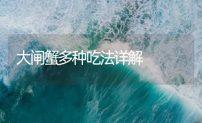 大闸蟹多种吃法详解 | 海水养殖技术