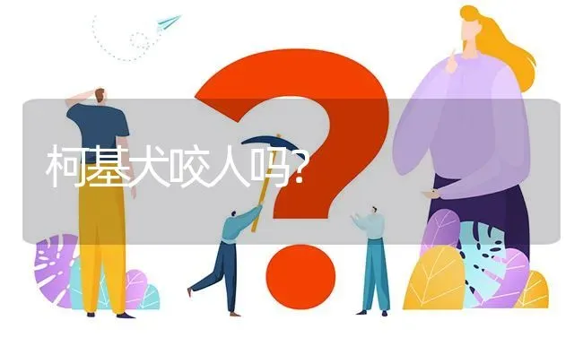 柯基犬咬人吗？ | 动物养殖问答