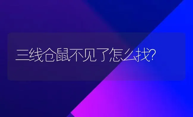 三线仓鼠不见了怎么找？ | 动物养殖问答