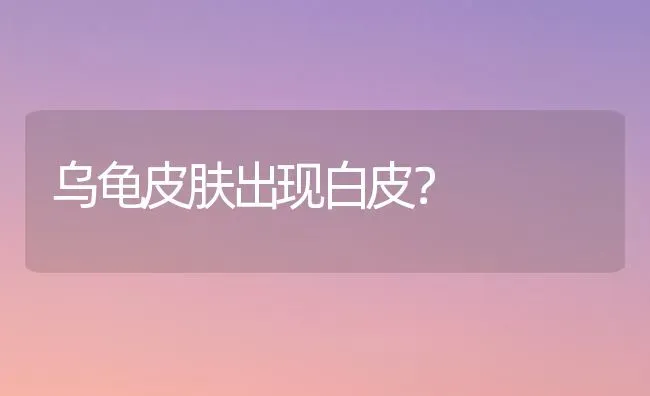 乌龟皮肤出现白皮？ | 动物养殖问答