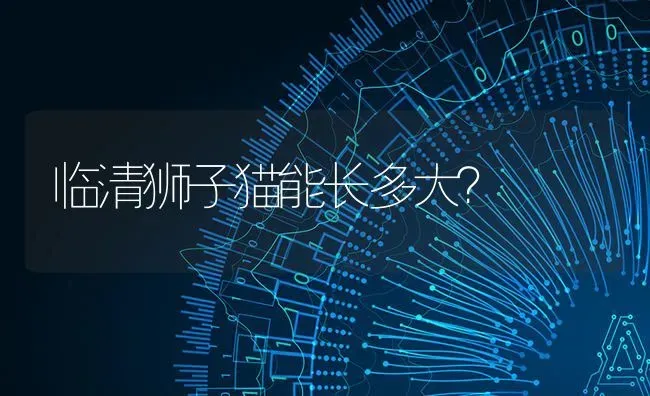 俊介犬的智商在犬类中排第几位？ | 动物养殖问答