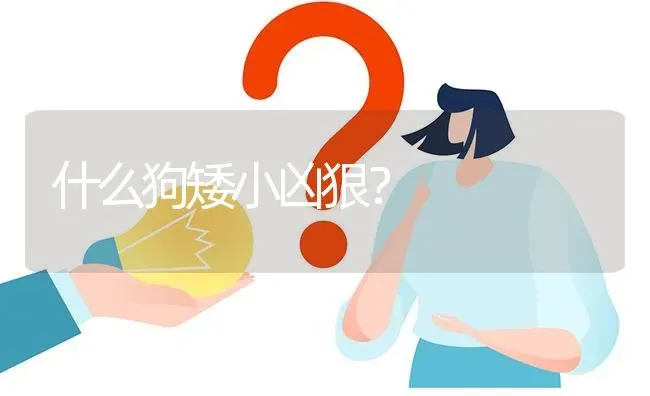 什么狗矮小凶狠？ | 动物养殖问答