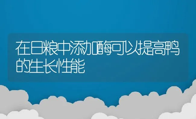 在日粮中添加酶可以提高鸭的生长性能 | 动物养殖饲料