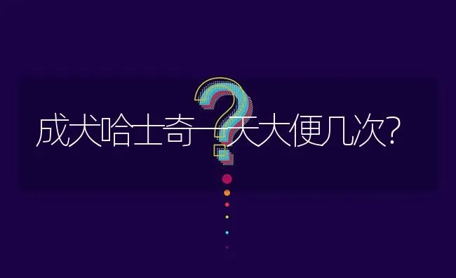 成犬哈士奇一天大便几次？ | 动物养殖问答