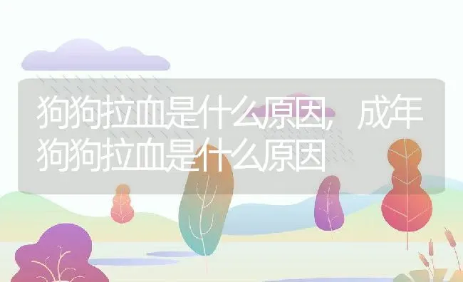 狗狗拉血是什么原因,成年狗狗拉血是什么原因 | 宠物百科知识