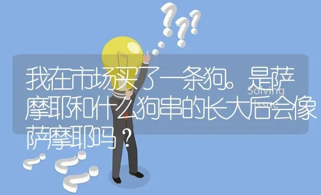 我在市场买了一条狗。是萨摩耶和什么狗串的长大后会像萨摩耶吗？ | 动物养殖问答