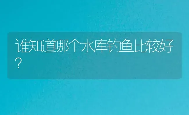 谁知道哪个水库钓鱼比较好？ | 鱼类宠物饲养