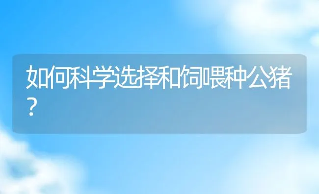 河蟹的夏季管理措施 | 海水养殖技术