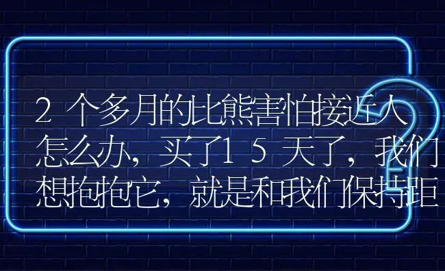 2个多月的比熊害怕接近人怎么办，买了15天了，我们想抱抱它，就是和我们保持距离不让我们摸它？ | 动物养殖问答