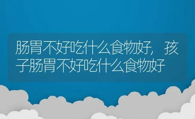 肠胃不好吃什么食物好,孩子肠胃不好吃什么食物好 | 宠物百科知识