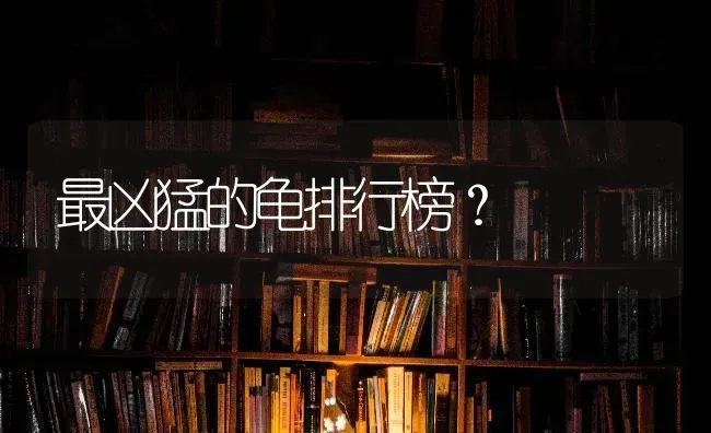 最凶猛的龟排行榜？ | 动物养殖问答