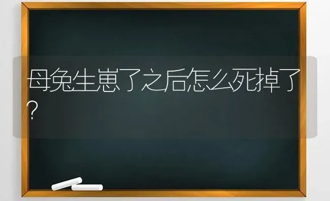 母兔生崽了之后怎么死掉了？ | 动物养殖问答