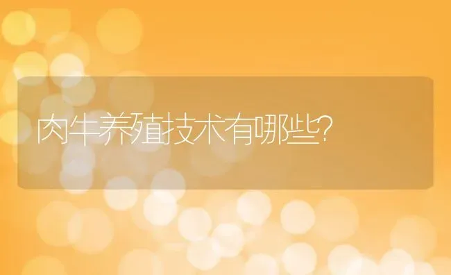 肉牛养殖技术有哪些？ | 动物养殖百科