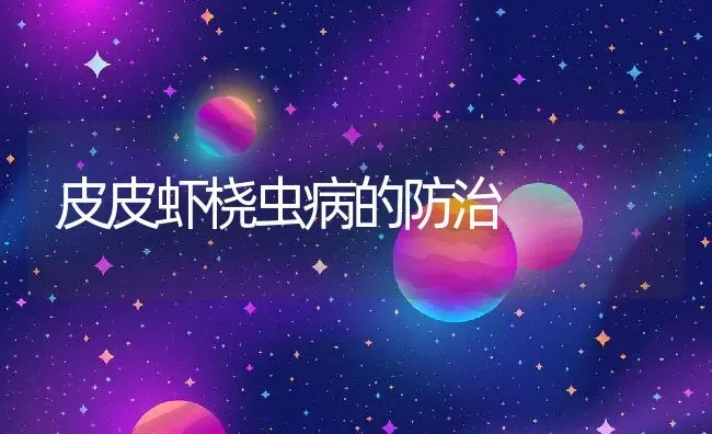 皮皮虾桡虫病的防治 | 淡水养殖技术