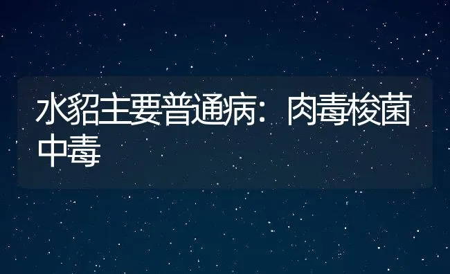 水貂主要普通病：肉毒梭菌中毒 | 水产养殖知识