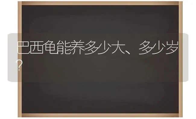 巴西龟能养多少大、多少岁？ | 动物养殖问答