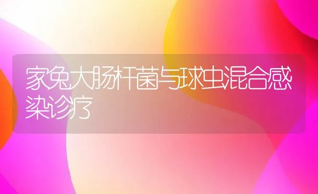 家兔大肠杆菌与球虫混合感染诊疗 | 水产养殖知识