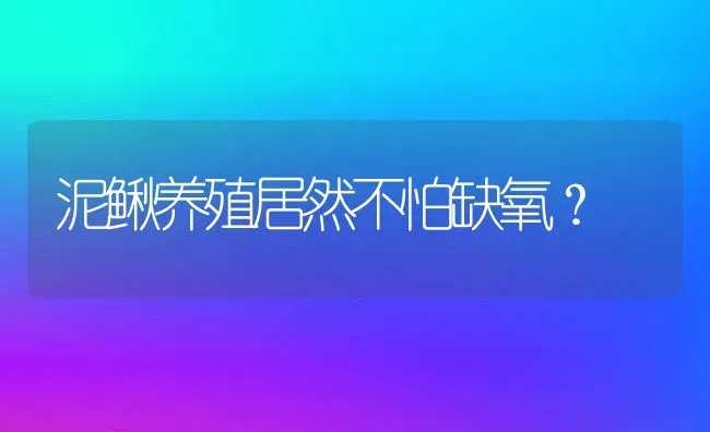 泥鳅养殖居然不怕缺氧？ | 动物养殖百科