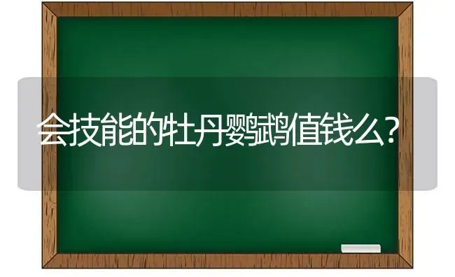 正常的猫体重大约有多少克？ | 动物养殖问答