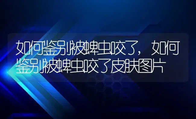 如何鉴别被蜱虫咬了,如何鉴别被蜱虫咬了皮肤图片 | 宠物百科知识